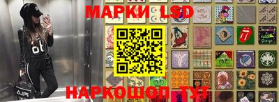гидра Кандалакша