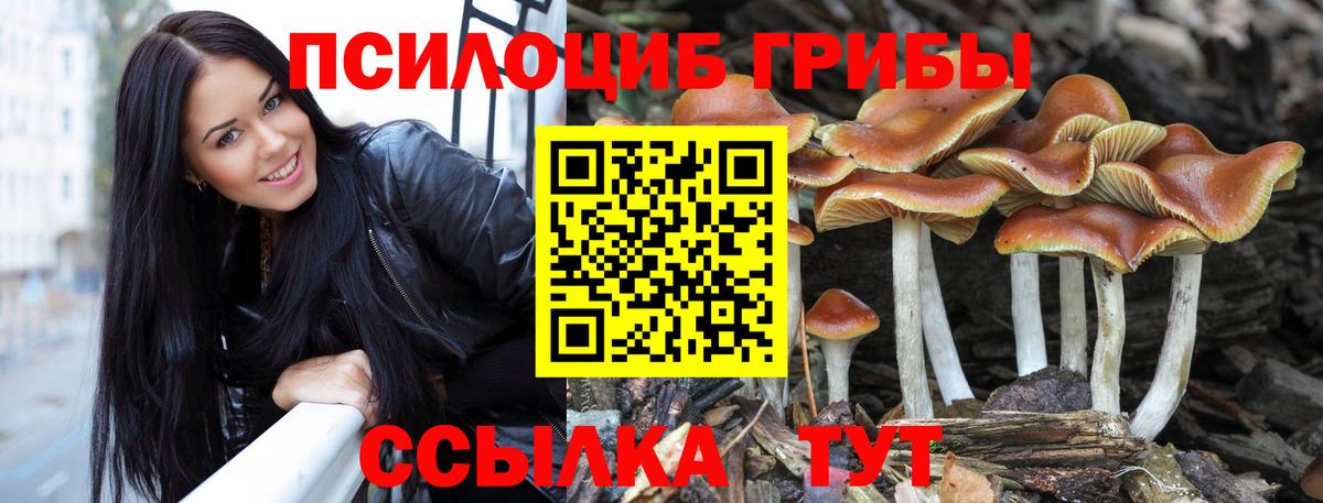 Псилоцибиновые грибы мицелий  Вход с VPN  Якутск  Псилоцибиновые грибы Psilocybe 