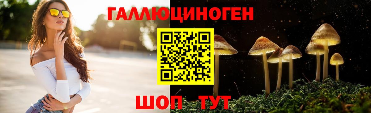 Псилоцибиновые грибы GOLDEN TEACHER Якутск